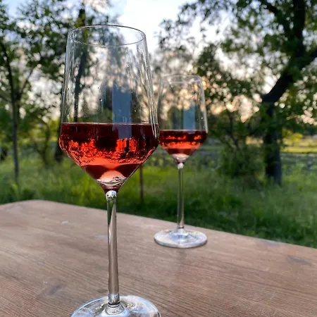 Nordic Spreewald ホテル