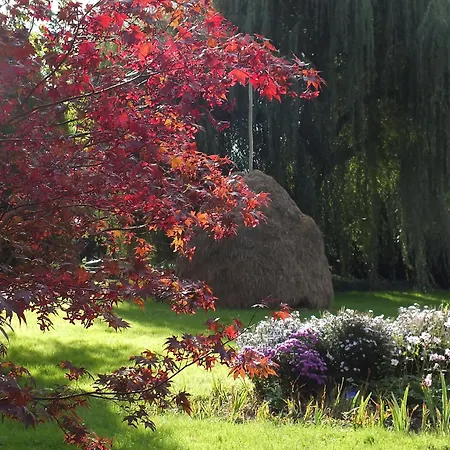 ホテル Nordic Spreewald