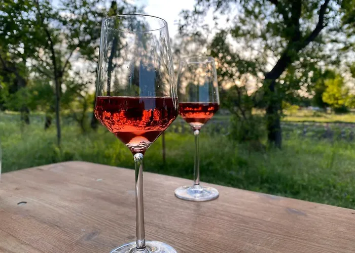 Nordic Spreewald Hotell