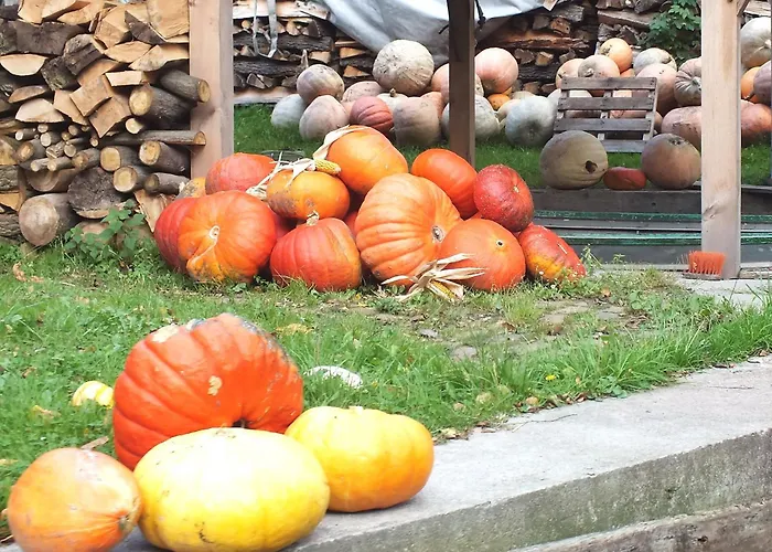 Hotell Nordic Spreewald Lübbenau