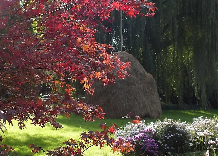 Hotell Nordic Spreewald